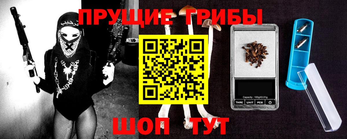 Новозыбков  Галлюциногенные грибы мицелий  Вход с VPN 