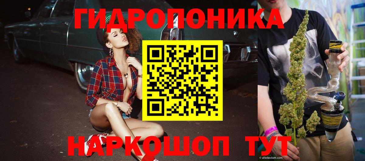 Марихуана семена  Вход с VPN  Новозыбков  Шишки марихуана планчик 